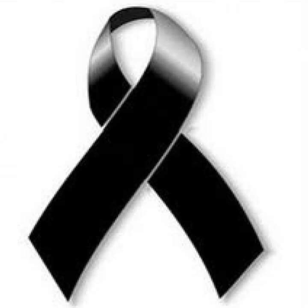 Meet your Posher, Fanny